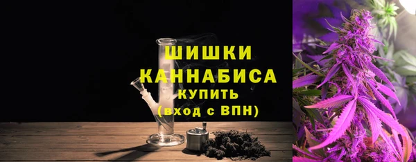 мдпв Костерёво
